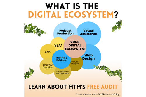 Free Digital Ecosystem Audit: Prep for Q1 with Mr. Thrive
