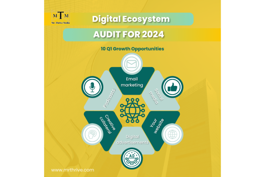 digital ecosystem audit for 2024
